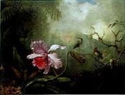 Martin Johnson Heade Cattleya Orchid Three Brazilian Hummingbirds USA oil painting artist